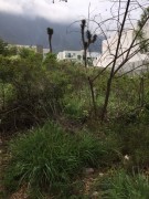 Terreno sin construccion (1)